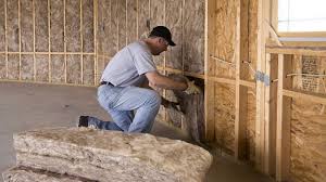 Best Garage Insulation  in Alva, FL